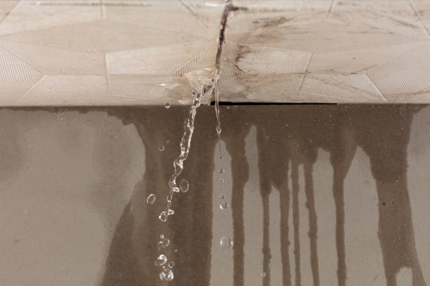 Professional Flood Damage Cleanup technician working in Long Lake, IL